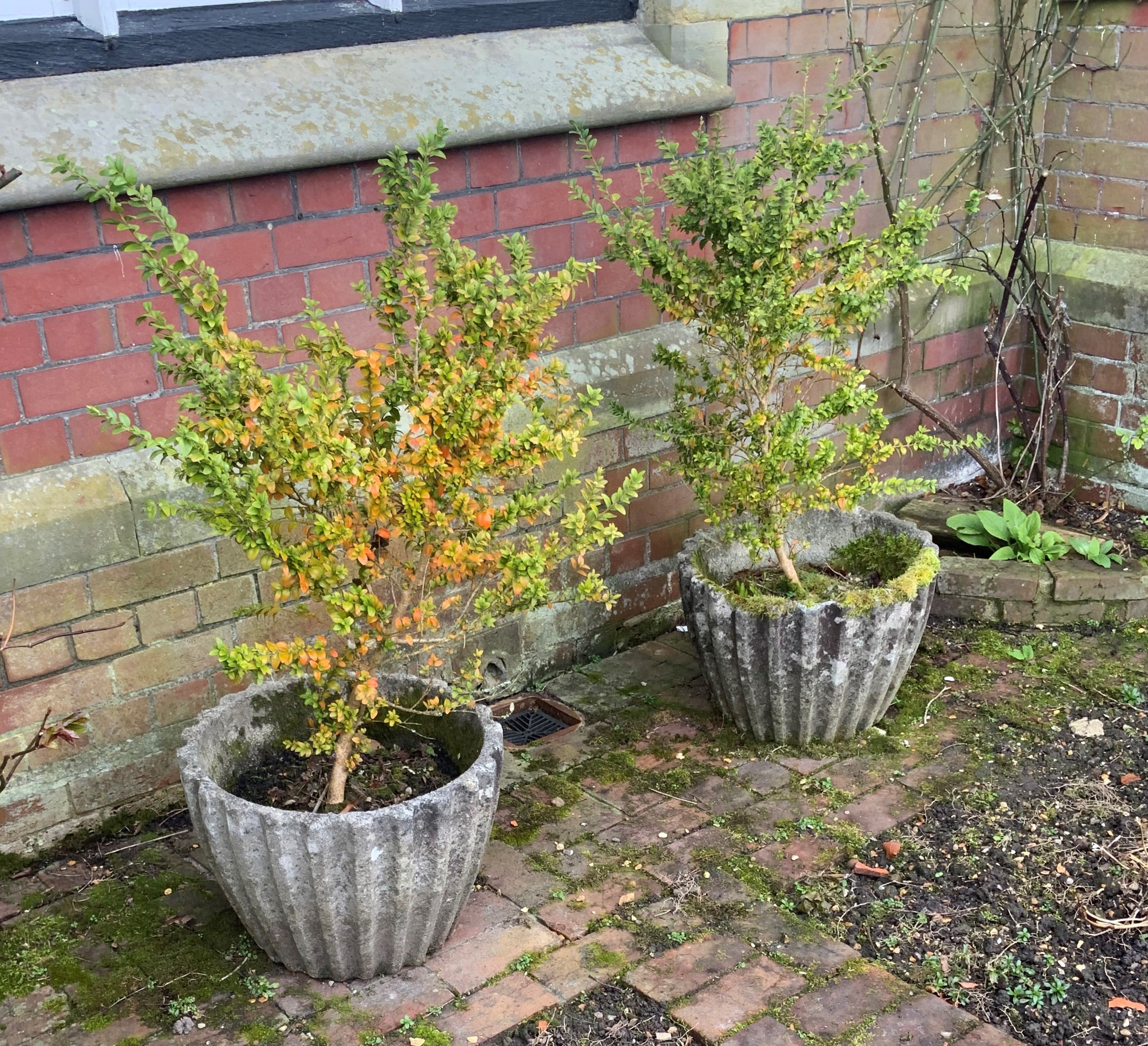 A pair of reconstituted stone circular garden tubs, diameter 50cm